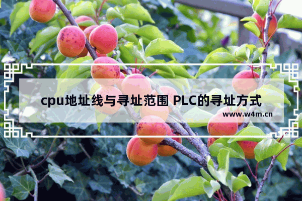 cpu地址线与寻址范围 PLC的寻址方式