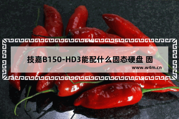 技嘉B150-HD3能配什么固态硬盘 固态硬盘黑苹果