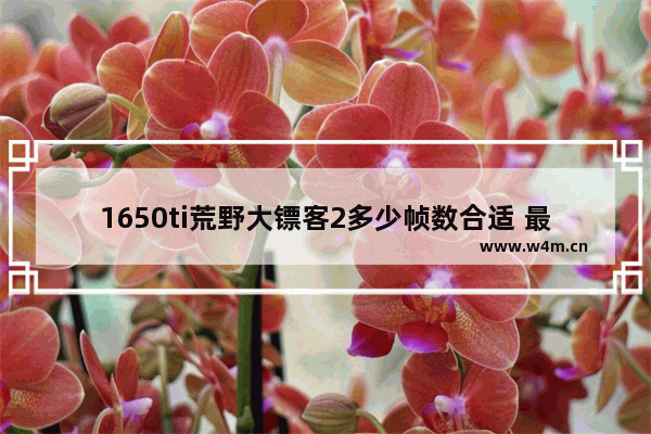 1650ti荒野大镖客2多少帧数合适 最大块显卡