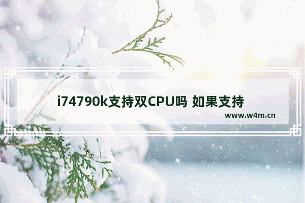 i74790k支持双CPU吗 如果支持 推荐一个稳定的双路主板 谢谢 m2+主板可以用哪些CPU