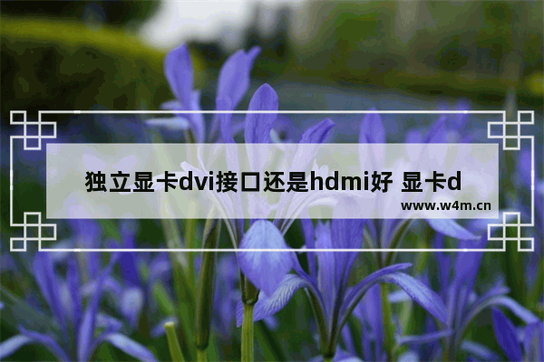 独立显卡dvi接口还是hdmi好 显卡dvi 显示器hdmi