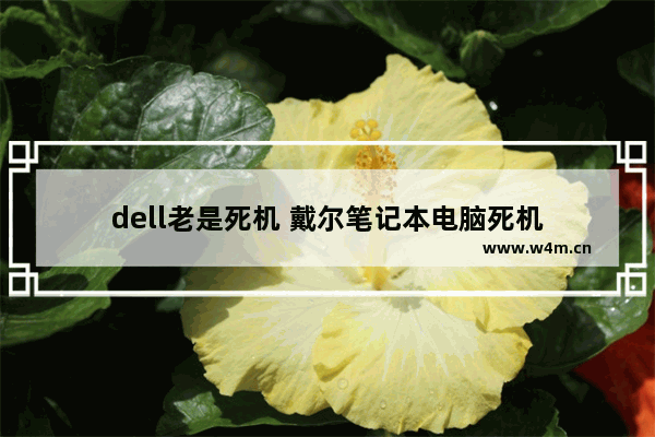 dell老是死机 戴尔笔记本电脑死机