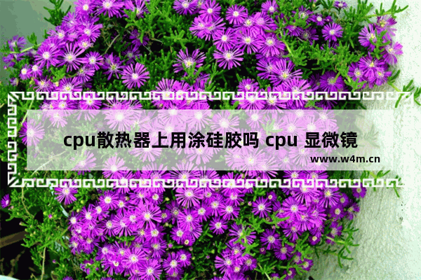 cpu散热器上用涂硅胶吗 cpu 显微镜