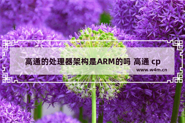 高通的处理器架构是ARM的吗 高通 cpu架构