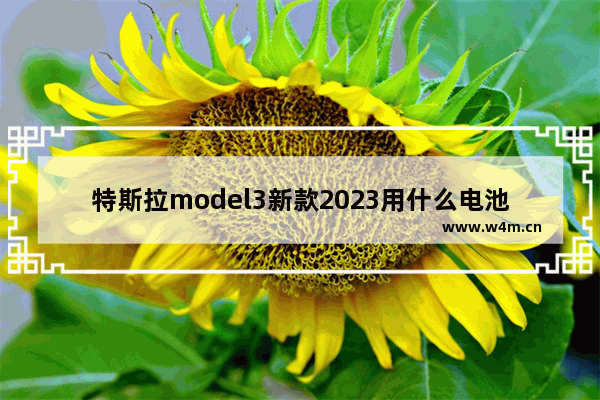 特斯拉model3新款2023用什么电池 model 3固态硬盘