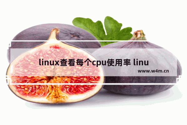 linux查看每个cpu使用率 linux 查看cpu 命令