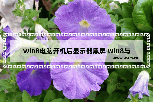 win8电脑开机后显示器黑屏 win8与win10区别