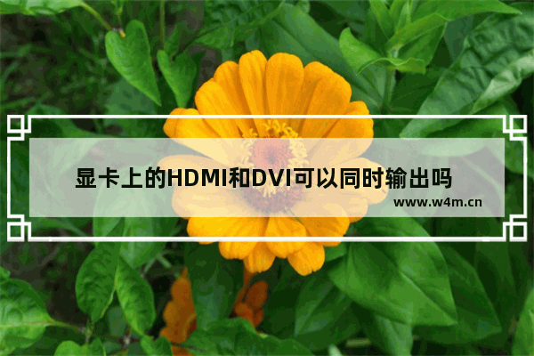 显卡上的HDMI和DVI可以同时输出吗 显卡dvi显示器hdmi