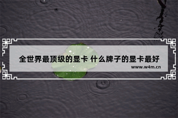 全世界最顶级的显卡 什么牌子的显卡最好