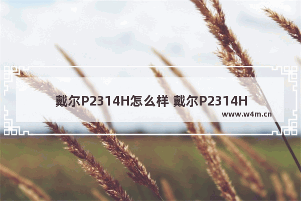 戴尔P2314H怎么样 戴尔P2314H好吗 23寸的戴尔显示器