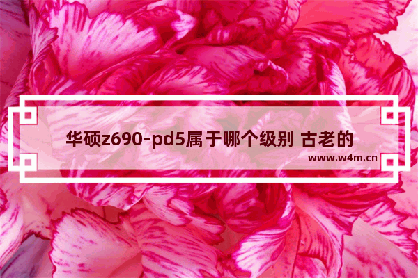 华硕z690-pd5属于哪个级别 古老的显卡