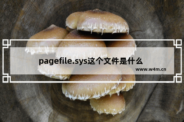 pagefile.sys这个文件是什么 固态硬盘报错SYS