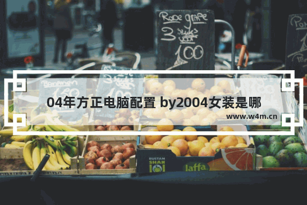 04年方正电脑配置 by2004女装是哪国的品牌