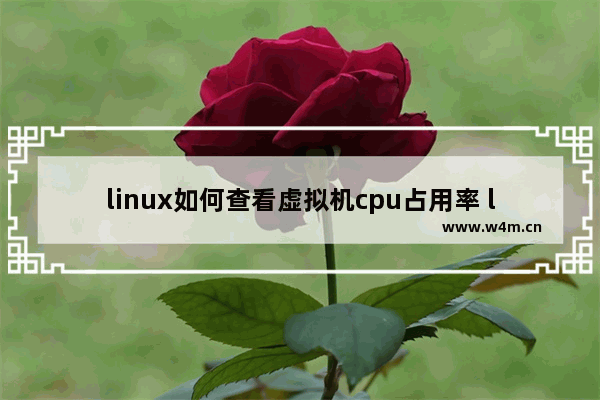 linux如何查看虚拟机cpu占用率 linux 查看cpu占用进程