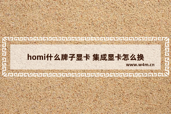 homi什么牌子显卡 集成显卡怎么换