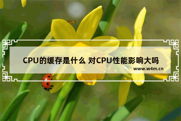 CPU的缓存是什么 对CPU性能影响大吗 cpu缓存有什么用