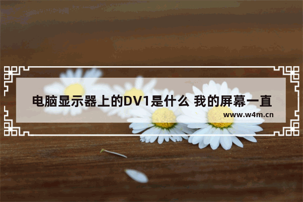 电脑显示器上的DV1是什么 我的屏幕一直闪着输入什么VGA和DVI.怎么弄走他们