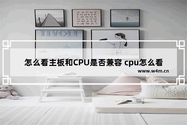 怎么看主板和CPU是否兼容 cpu怎么看兼容