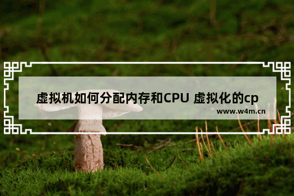 虚拟机如何分配内存和CPU 虚拟化的cpu怎么分配