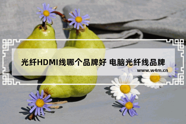 光纤HDMI线哪个品牌好 电脑光纤线品牌