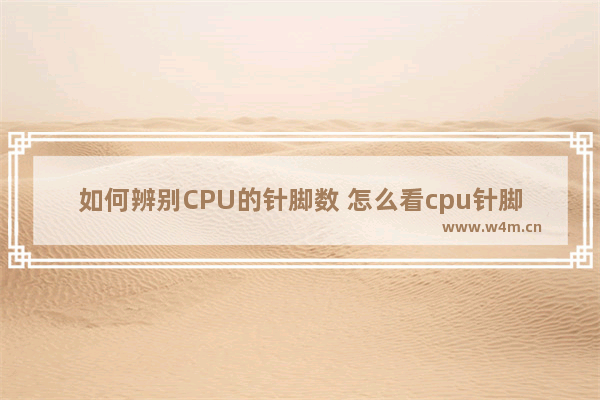 如何辨别CPU的针脚数 怎么看cpu针脚