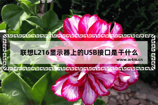 联想L216显示器上的USB接口是干什么用的 联想显示器uSB