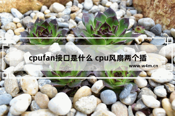 cpufan接口是什么 cpu风扇两个插头怎么插