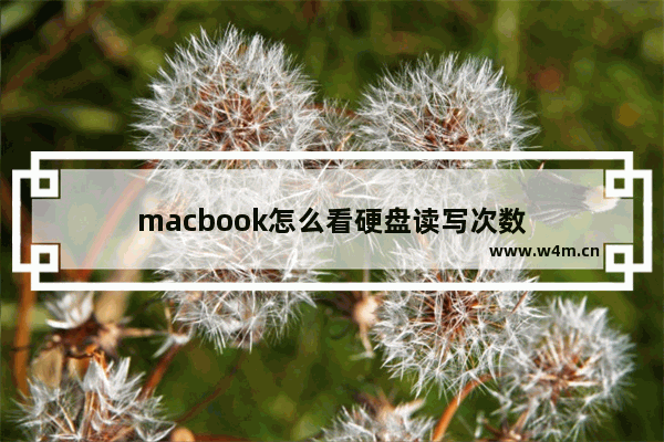 macbook怎么看硬盘读写次数