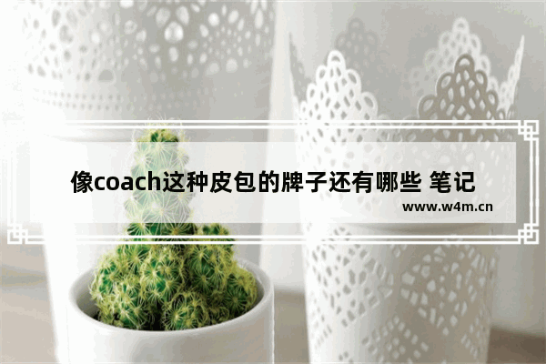 像coach这种皮包的牌子还有哪些 笔记本电脑的牌子包包