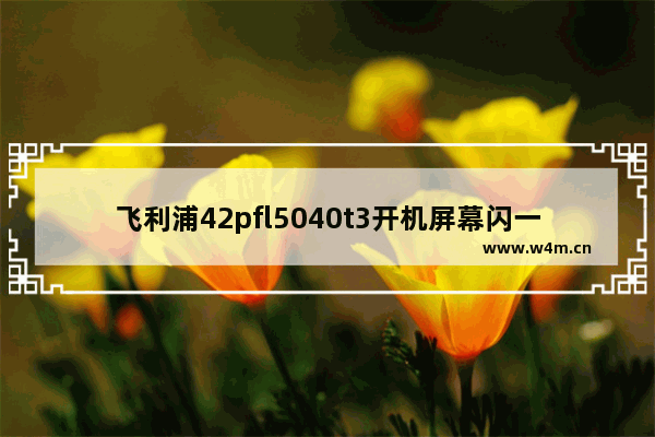 飞利浦42pfl5040t3开机屏幕闪一下 飞利浦40显示器