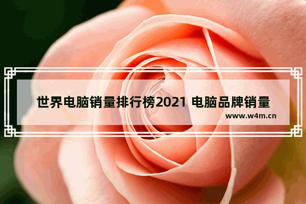 世界电脑销量排行榜2021 电脑品牌销量数据