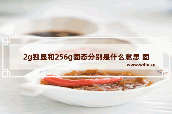 2g独显和256g固态分别是什么意思 固态显存显卡