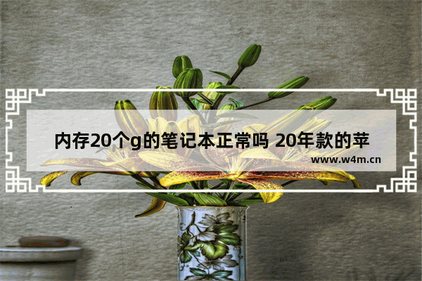 内存20个g的笔记本正常吗 20年款的苹果笔记本电脑现在还能买吗