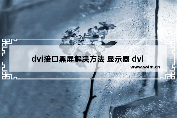 dvi接口黑屏解决方法 显示器 dvi 黑屏