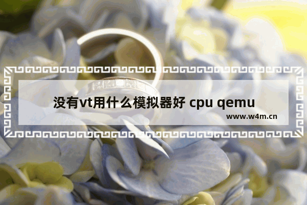 没有vt用什么模拟器好 cpu qemu