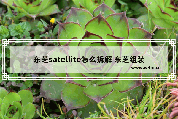 东芝satellite怎么拆解 东芝组装电脑