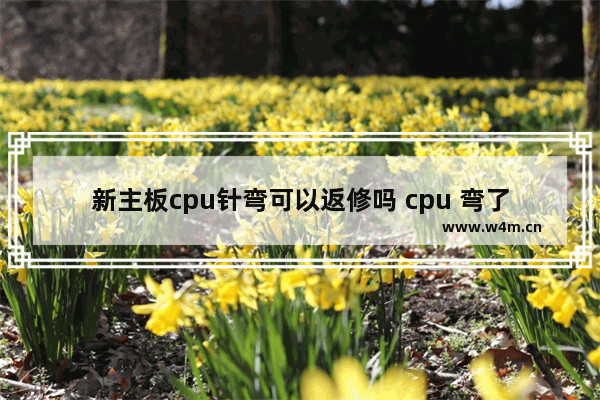 新主板cpu针弯可以返修吗 cpu 弯了 针