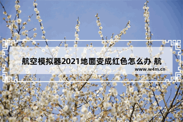 航空模拟器2021地面变成红色怎么办 航空级显卡