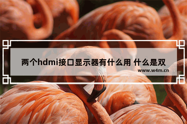 两个hdmi接口显示器有什么用 什么是双显示器