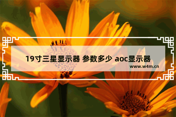 19寸三星显示器 参数多少 aoc显示器19寸老款显示效果