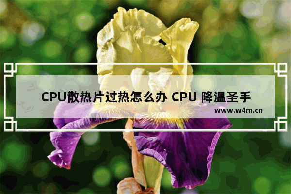 CPU散热片过热怎么办 CPU 降温圣手