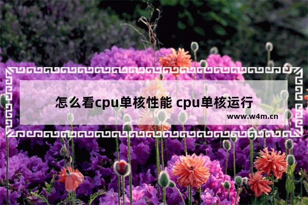 怎么看cpu单核性能 cpu单核运行