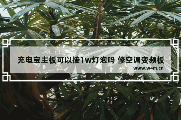 充电宝主板可以接1w灯泡吗 修空调变频板用多大的灯泡