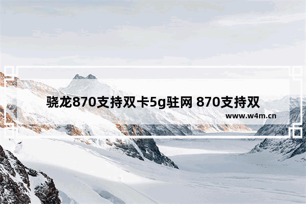 骁龙870支持双卡5g驻网 870支持双5g吗