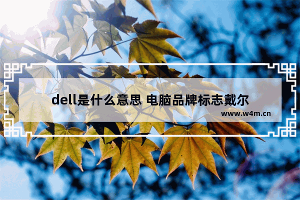 dell是什么意思 电脑品牌标志戴尔