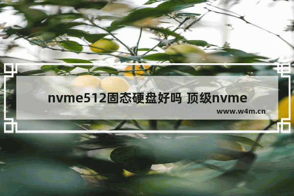 nvme512固态硬盘好吗 顶级nvme固态硬盘