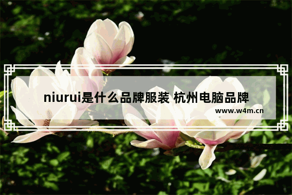 niurui是什么品牌服装 杭州电脑品牌购买