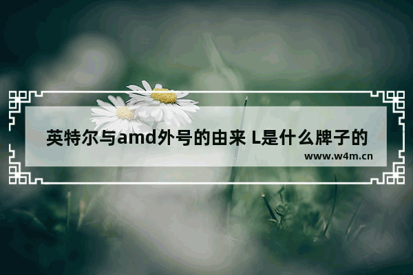 英特尔与amd外号的由来 L是什么牌子的衣服