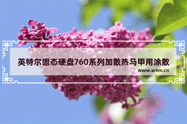 英特尔固态硬盘760系列加散热马甲用涂散热硅胶吗 m.2固态硬盘用多厚的散热硅胶垫