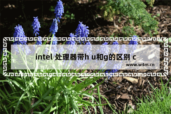 intel 处理器带h u和g的区别 cpu h m u